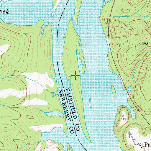 Topographic Map of Pearsons Island, SC