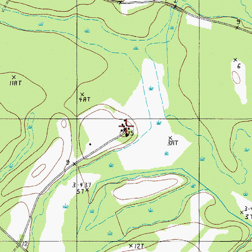 Topographic Map of Brewton Plantation, SC