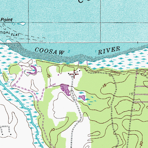 Topographic Map of Brickyard Point Plantation, SC