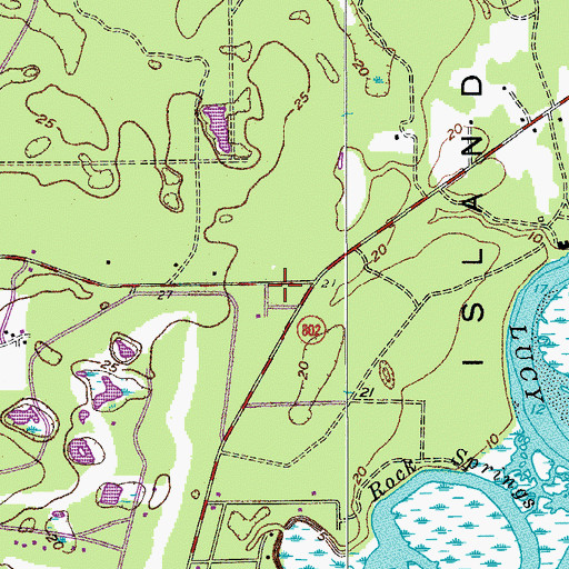Topographic Map of Daniels, SC