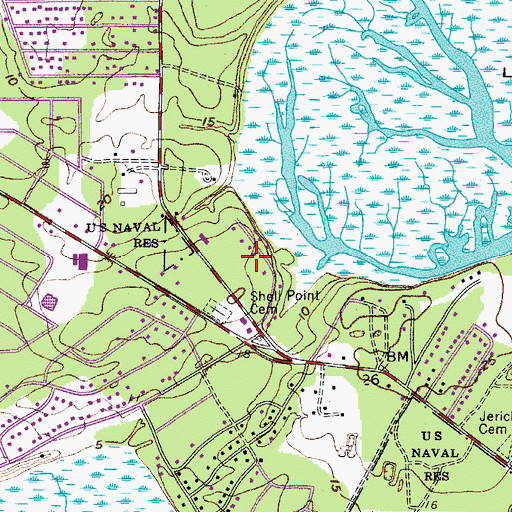Topographic Map of Dowlingwood, SC