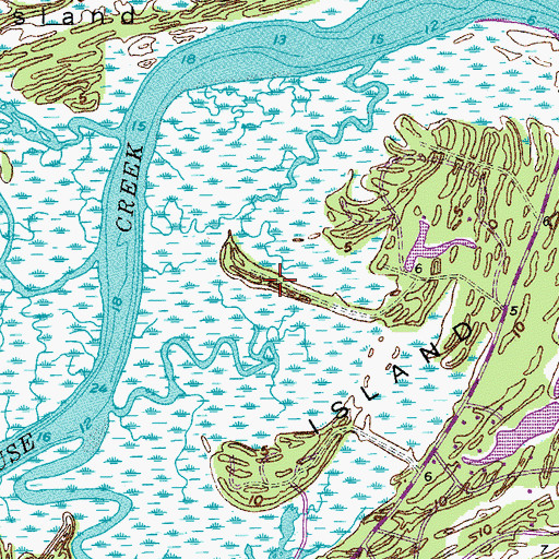Topographic Map of Fiddlers Ridge, SC
