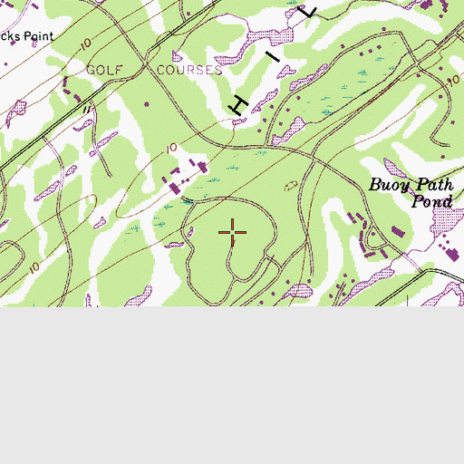 Topographic Map of Greenwood Forest, SC