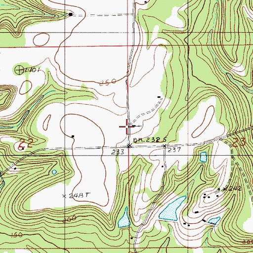 Topographic Map of New Bride Church, AL