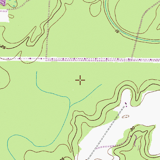Topographic Map of Middleton Swamp (historical), SC