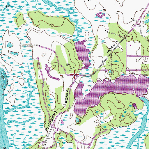 Topographic Map of Pleasant Point, SC