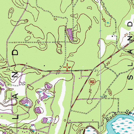 Topographic Map of Springfield, SC