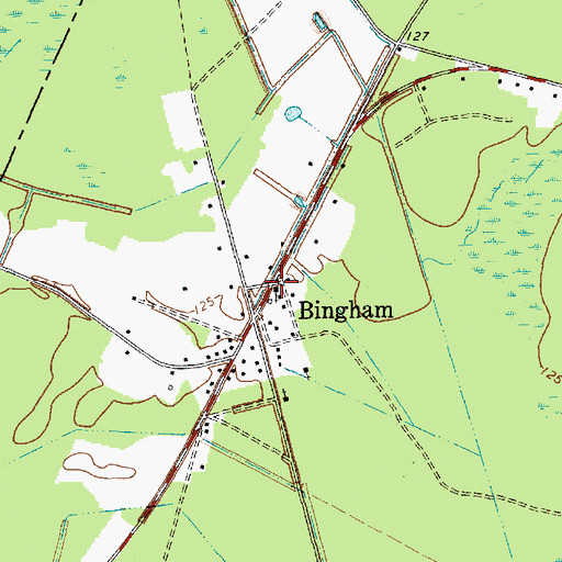 Topographic Map of Bingham Church, SC