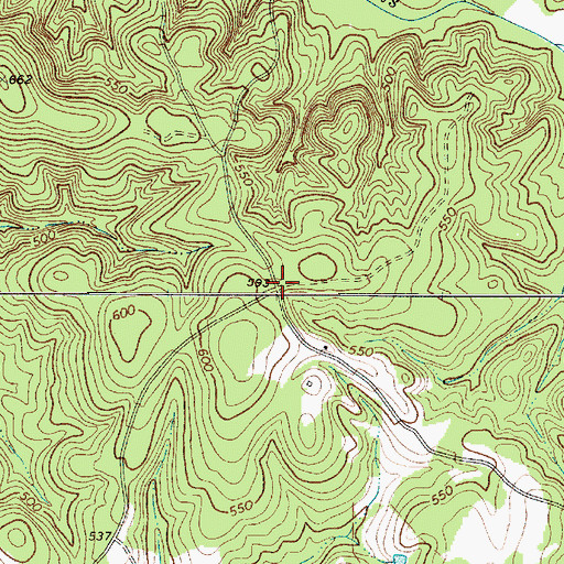 Topographic Map of Borax (historical), SC