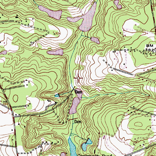 Topographic Map of Williams Lake, SC