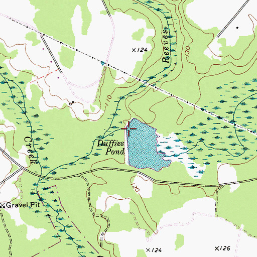 Topographic Map of Duffies Pond D-0600 Dam, SC