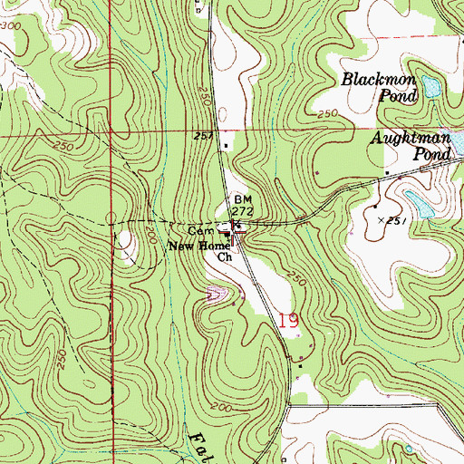 Topographic Map of New Home Church, AL