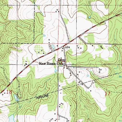 Topographic Map of New Home Church, AL