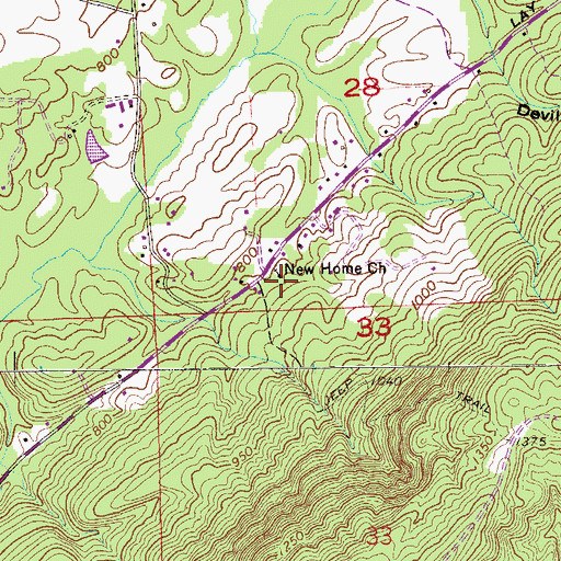 Topographic Map of New Home Missionary Baptist Church, AL