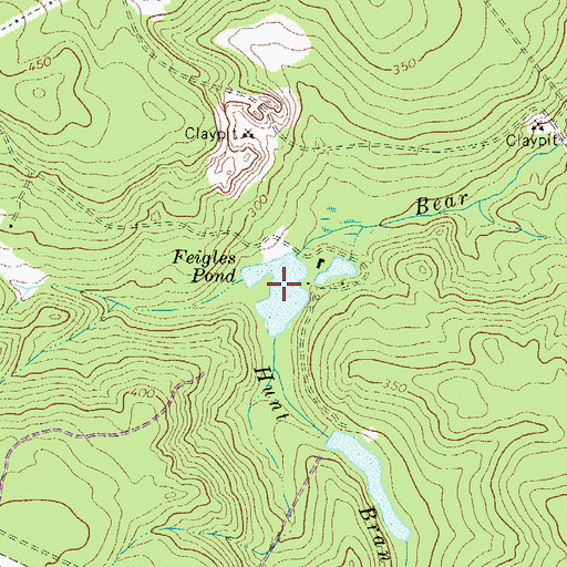 Topographic Map of Feigles Pond, SC