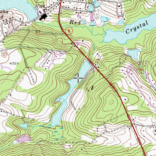 Topographic Map of Arrants Pond, SC
