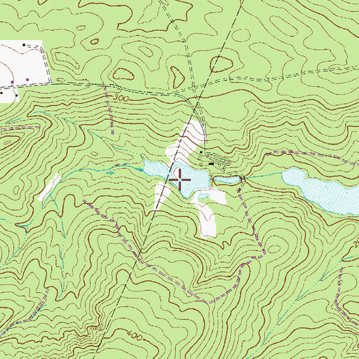 Topographic Map of State-Record Pond, SC