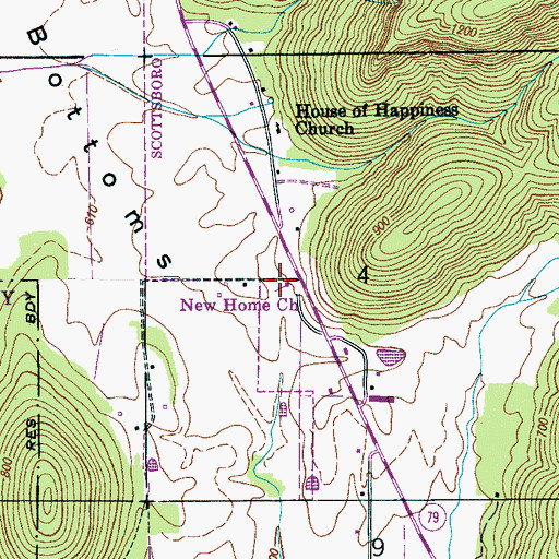 Topographic Map of New Home Church, AL