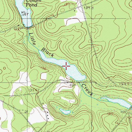 Topographic Map of Johnson Pond, SC