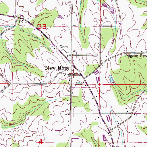 Topographic Map of New Hope, AL