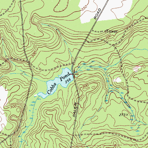 Topographic Map of Cobbs Pond Dam D-1675, SC