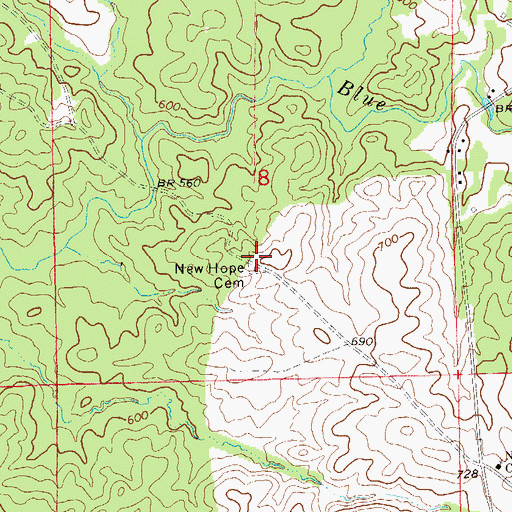 Topographic Map of New Hope Cemetery, AL
