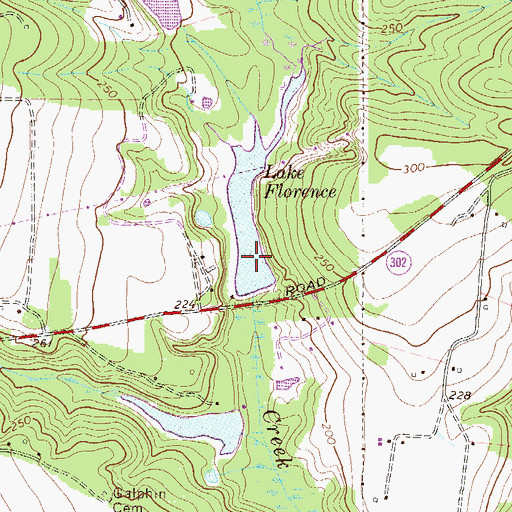 Topographic Map of South Carolina Noname 02012 D-1996 Dam, SC