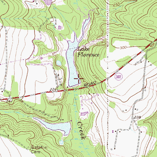 Topographic Map of Lake Florence, SC