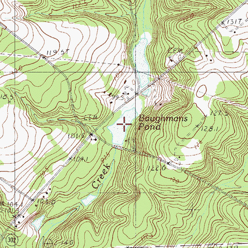 Topographic Map of Baughmans Pond, SC