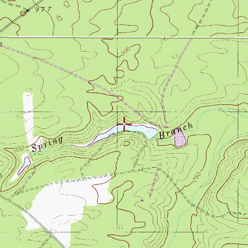 Topographic Map of Hallmans Pond, SC