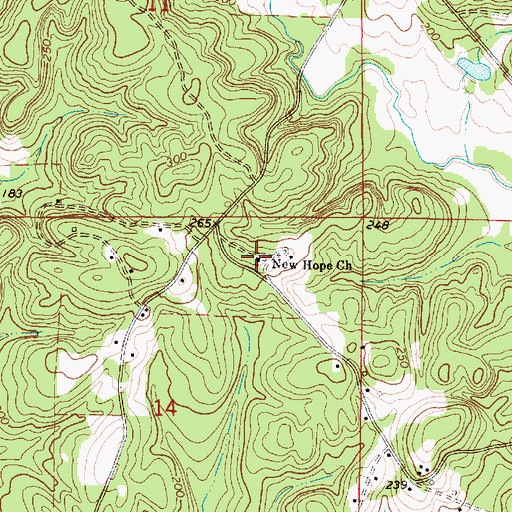 Topographic Map of New Hope Church, AL