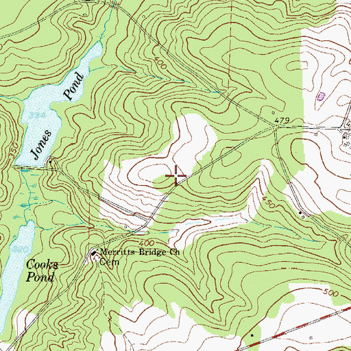 Topographic Map of Jones Pond, SC