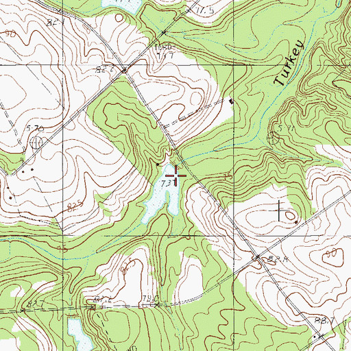 Topographic Map of South Carolina Noname 38040 D-3703 Dam, SC