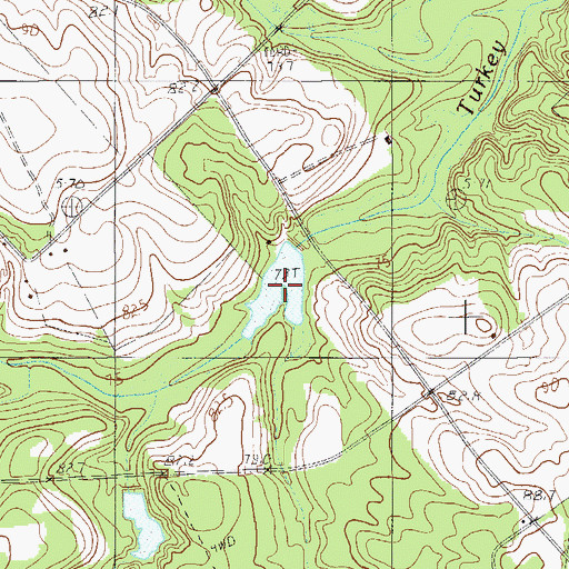 Topographic Map of H M Chapling Pond, SC