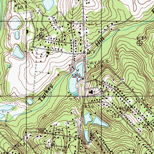 Topographic Map of Ocains Pond, SC