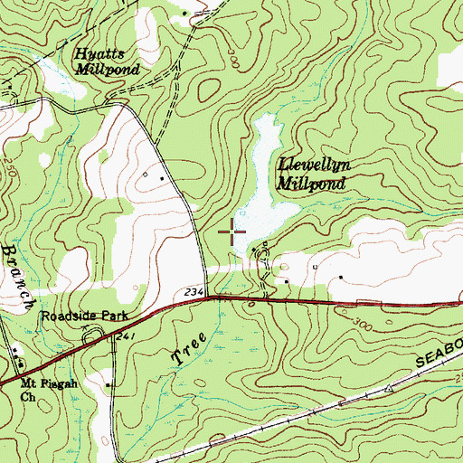 Topographic Map of Lewellem Millpond, SC