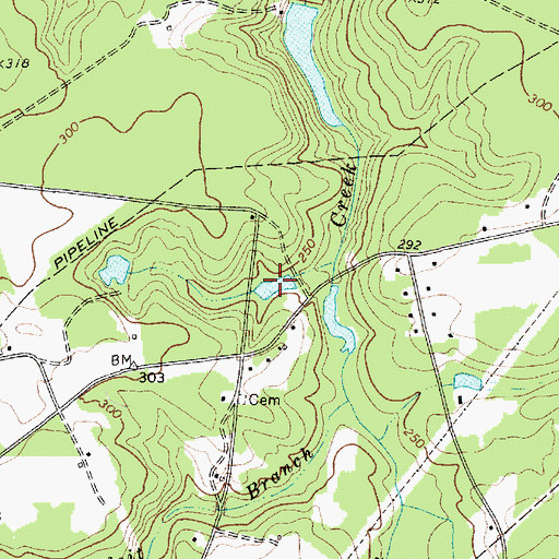 Topographic Map of Taylor Pond, SC