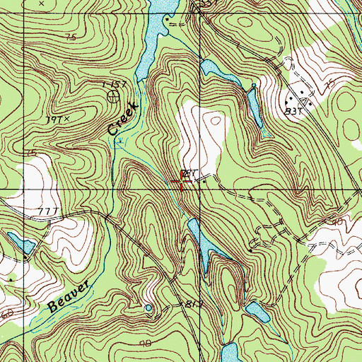 Topographic Map of D H Wannamaker Pond, SC