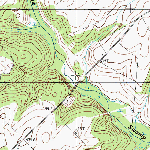 Topographic Map of Staley Pond, SC