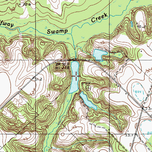 Topographic Map of Perkins Pond, SC