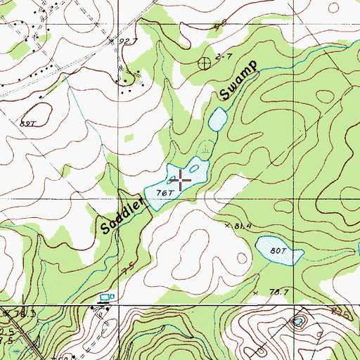 Topographic Map of Beckhams Pond, SC