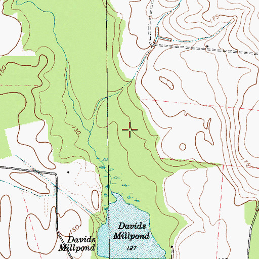 Topographic Map of Davids Millpond, SC