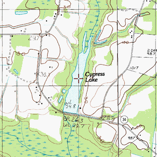 Topographic Map of Cypress Lake, SC