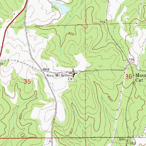 Topographic Map of New Mount Sellars Church, AL
