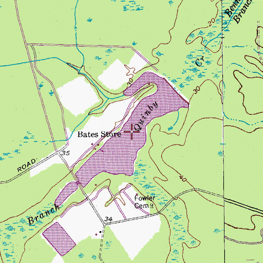 Topographic Map of Bates Pond, SC