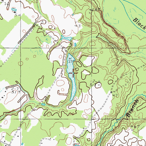 Topographic Map of Browns Pond, SC