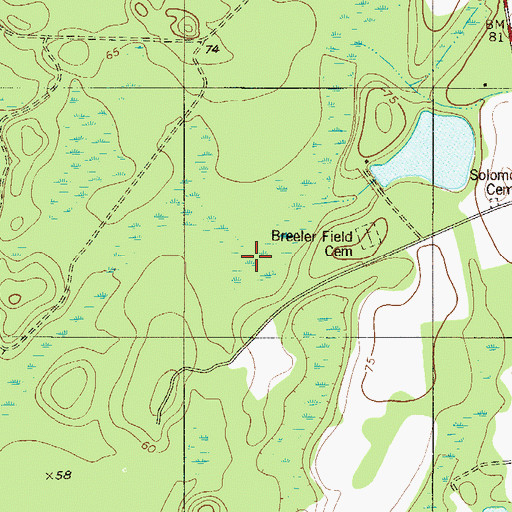 Topographic Map of Ramseys Pond, SC