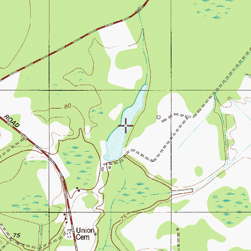 Topographic Map of Lafitte Pond, SC