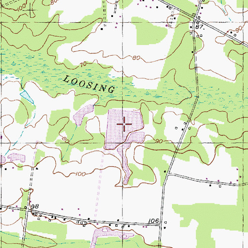 Topographic Map of Howles Big Pond, SC