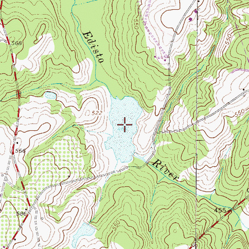 Topographic Map of Holmes Pond, SC